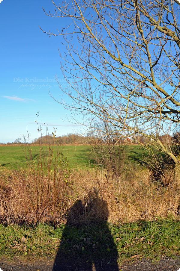 Spaziergang durch Wremen 241113 (24)