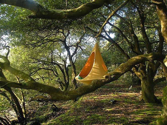 http://www.treehugger.com/sustainable-product-design/cacoon-tree-tent-hang-in-out.html