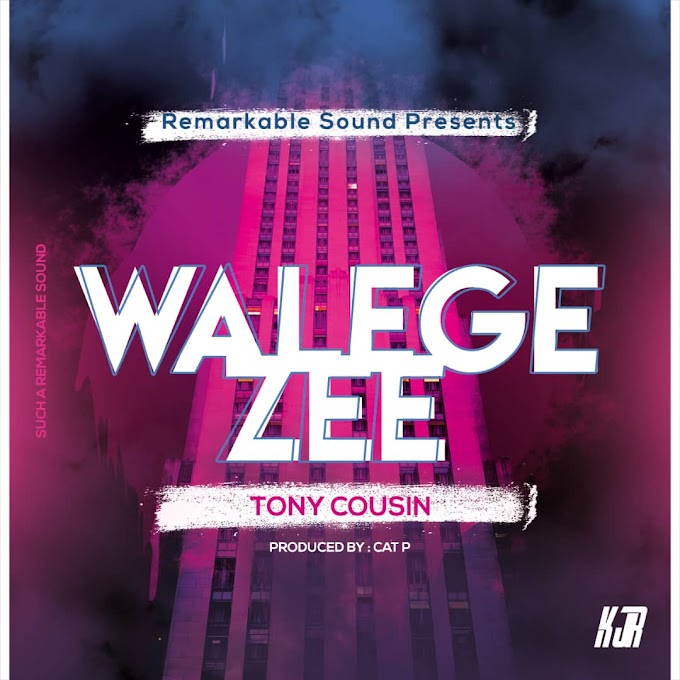 DOWNLOAD AUDIO : TONY COUSIN - WALEGEZE