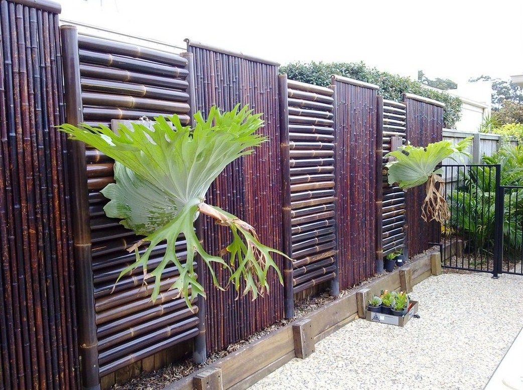 21 desain  dan harga pagar  bambu  minimalis termasuk pagar  