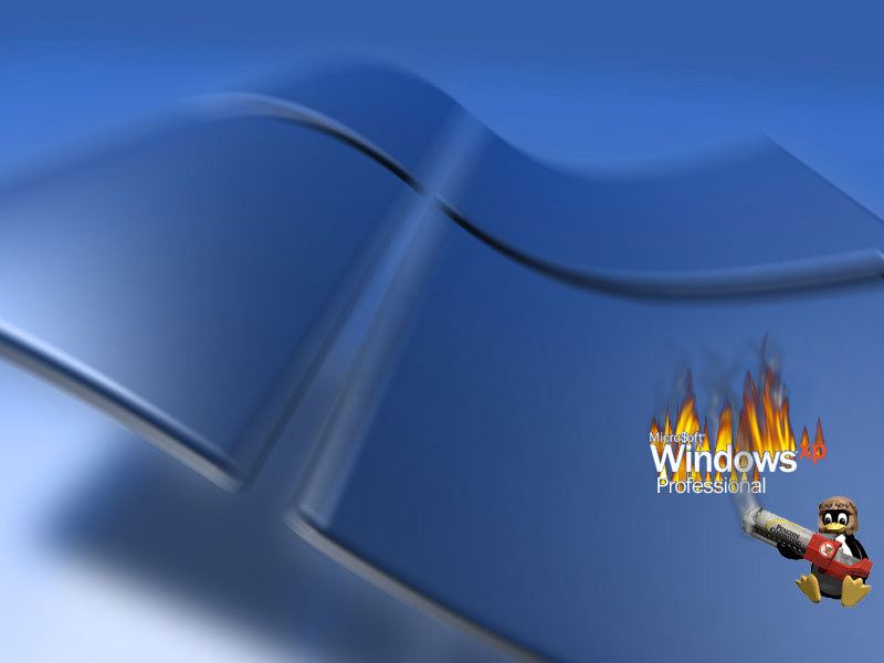 window wallpapers. window xp wallpaper.