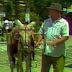 Xarope Castaniodo - Anos 80
