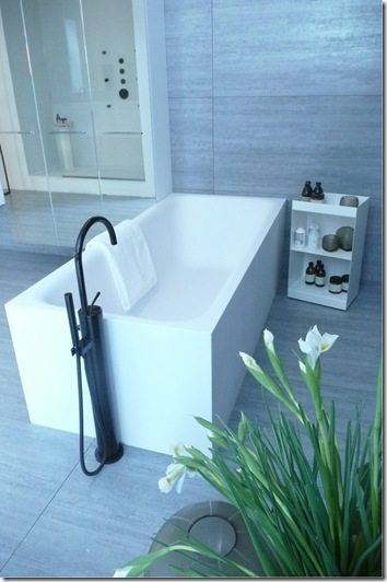 I Saloni 2010 118