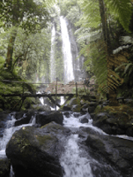 Wisata Solo