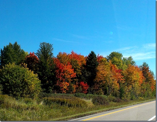 automne 2