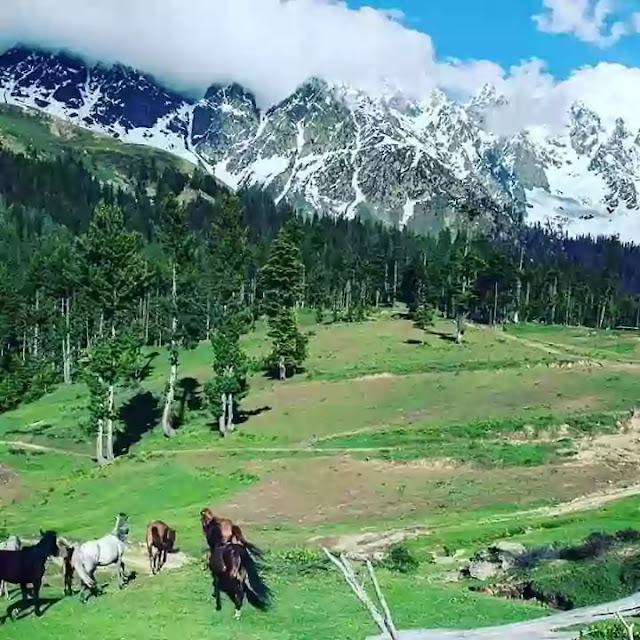 Boyun Village Pakistan (Green Top) | Height, Weather, Location