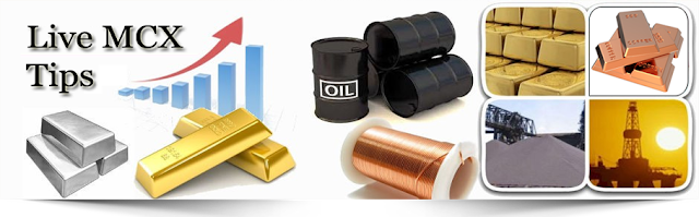 Commodity Market Updates