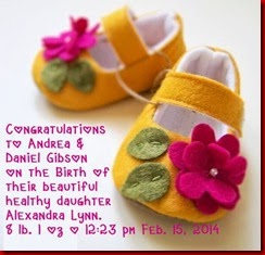 birth announcement 2-15-2014