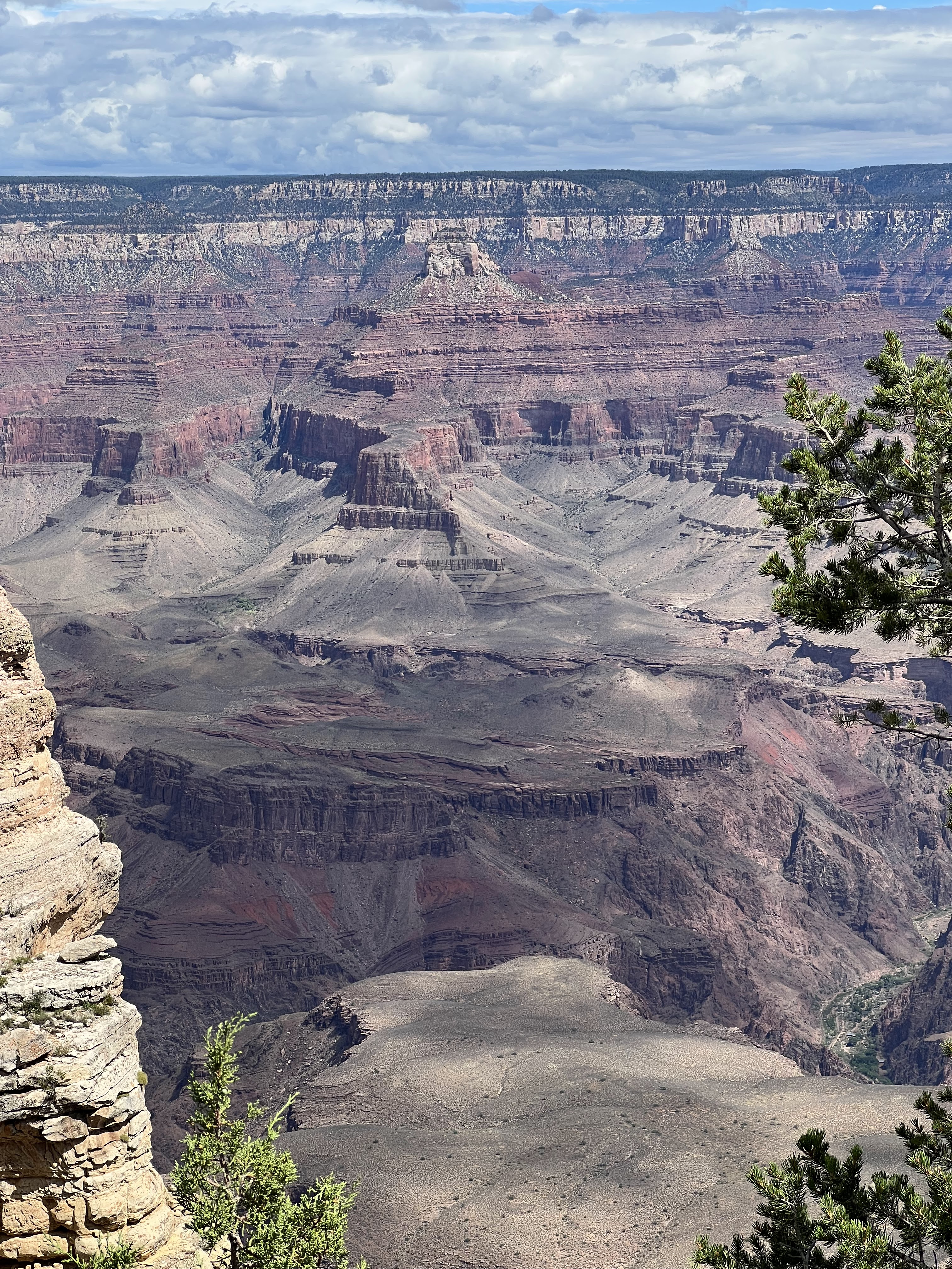 Grand Canyon west o south rim quale scegliere e tutto quello che c'è da sapere arizona