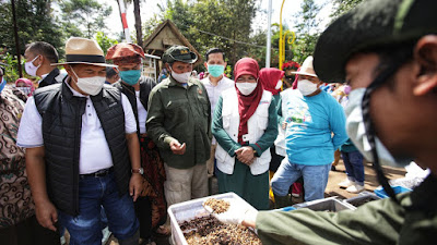 Wali kota Bandung Resmikan Kawasan Pertanian Terpadu “Sekemala Integrated Farming” di Uber