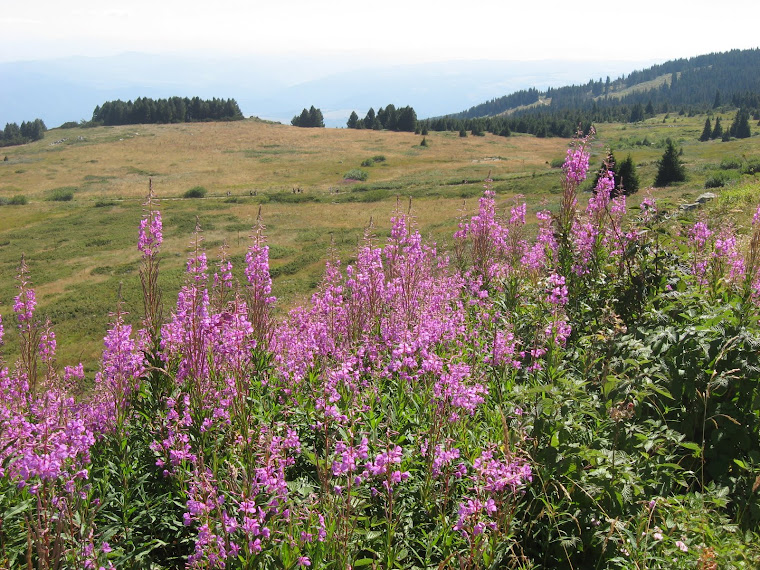 Adornments on Mt. Cherni Vrah
