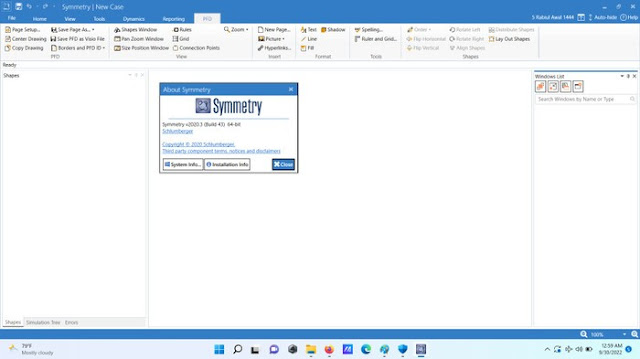 Schlumberger Symmetry 2020.3 Build 43 (x64)