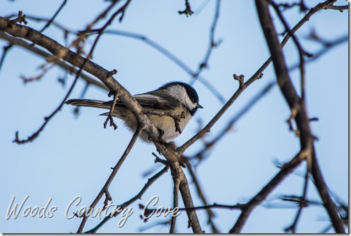 JANUARY 2016 (14 of 25)
