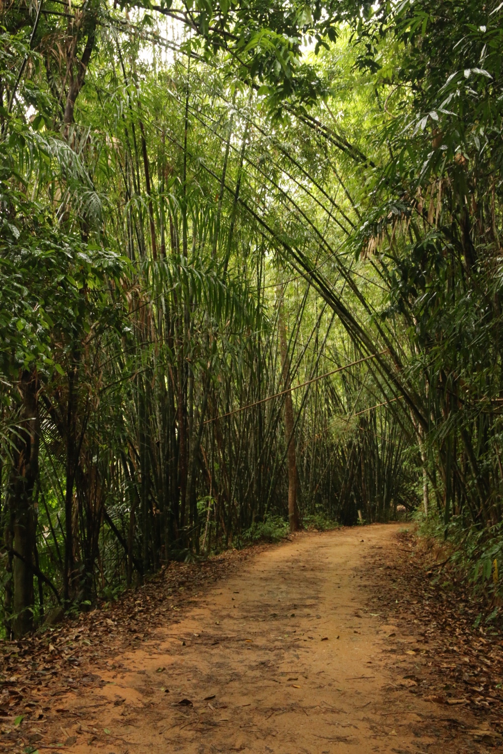 Khao Sok