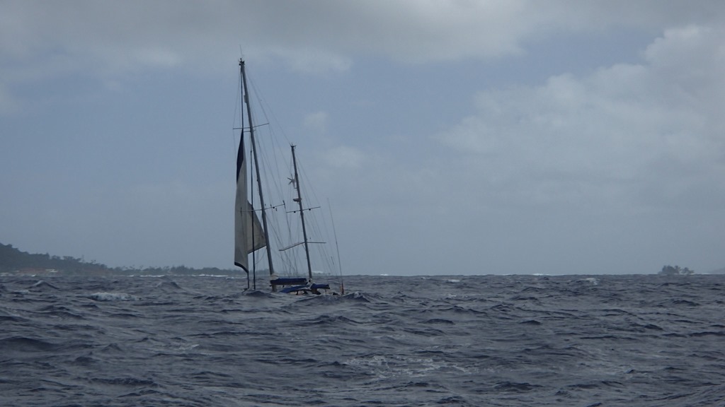P7222464