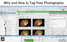 Why and How to Tag Your Photographs | Boost Your Photography