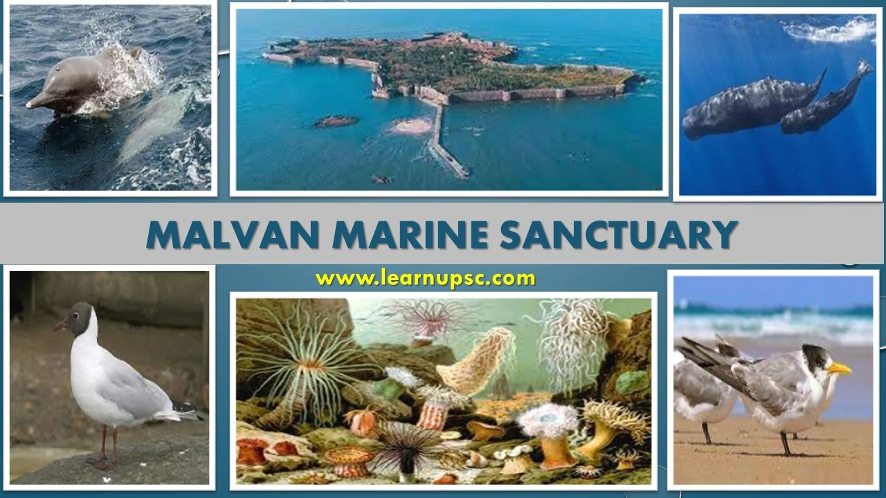 Malvan Marine Sanctuary
