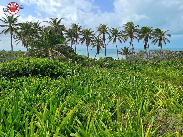 Isla Contoy, México