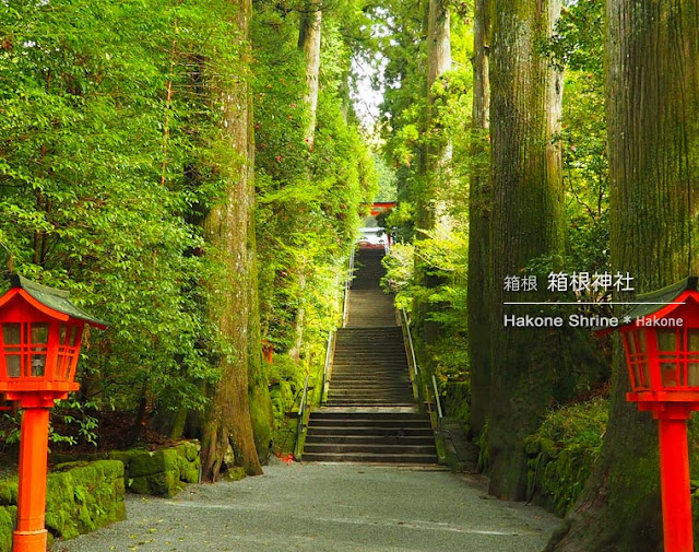 箱根神社：正参道