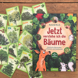 Kinderbuch: Jetzt verstehe ich die Bäume - Heimische Baumarten erkennen und bestimmen