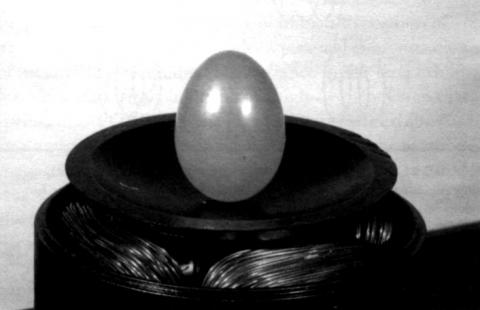 A plastic Easter egg (packed with steel wool) can be made to rotate faster