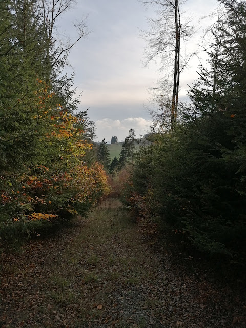 Sauerland wandern Wetter blog Bestwig Schluchtengebirge