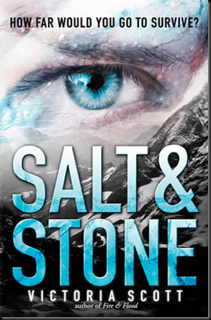 salt-and-stone