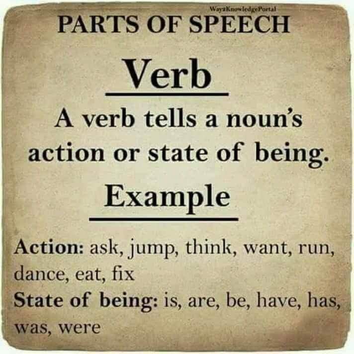 What is Verb and Shapes of Verb