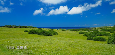 [与那国島] 馬鼻崎と北牧場が楽しい！