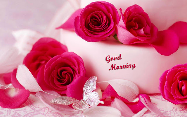 Romantic Roses Good Morning HD Wallpapers Download