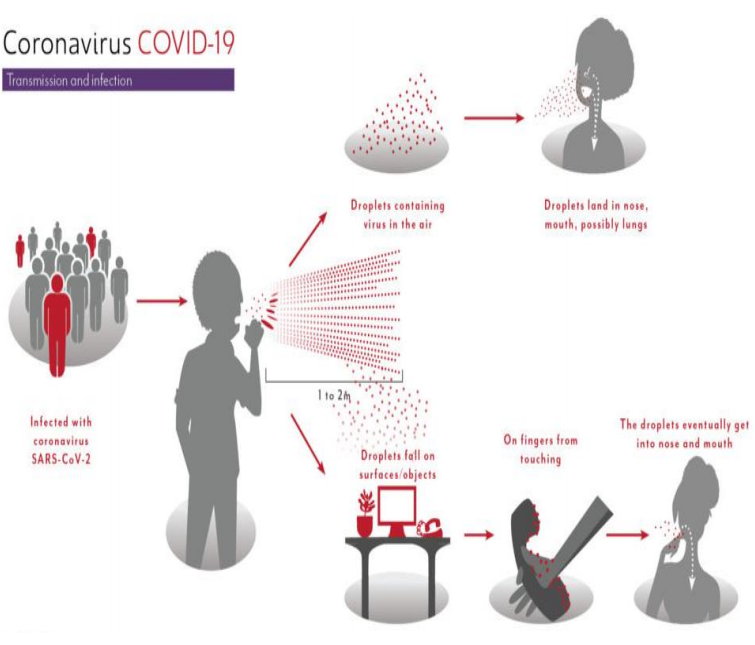 Patofisiologi COVID 19