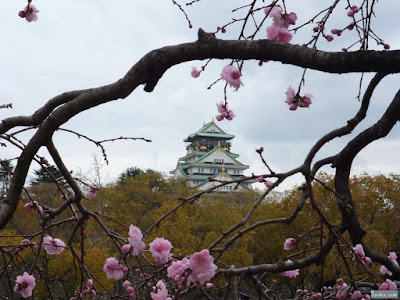 大阪城と八重桜