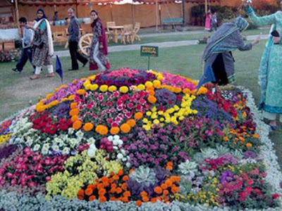 AIOU wins top positions at flower show