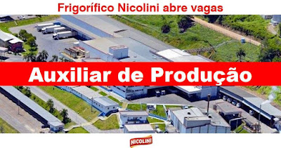 Frigorífico Nicolini seleciona Auxiliar de Produção