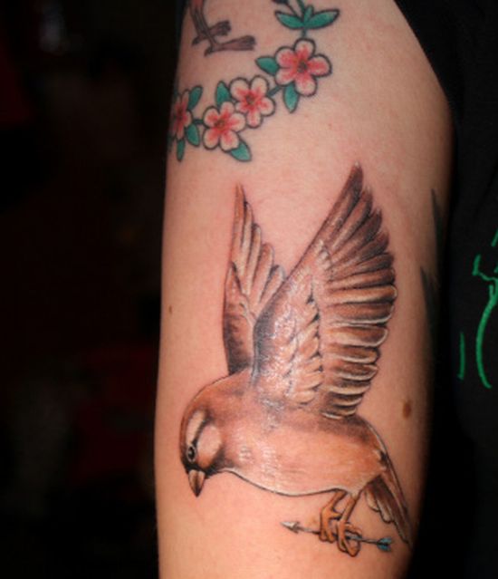 sparrow tattoo meaning. Sparrow Tattoos Designs and