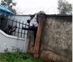 Suspected burglar electrocuted while scaling fence - Watch Video 