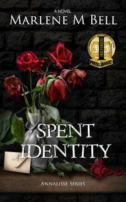 spent-identity-book-cover-mystery-fiction