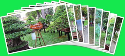 View album