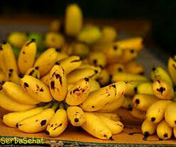bahaya dan manfaat buah pisang bagi kesehatan