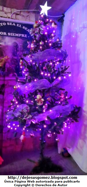 Foto de un Arbol de Navidad con adornos lila por Jesus Gómez