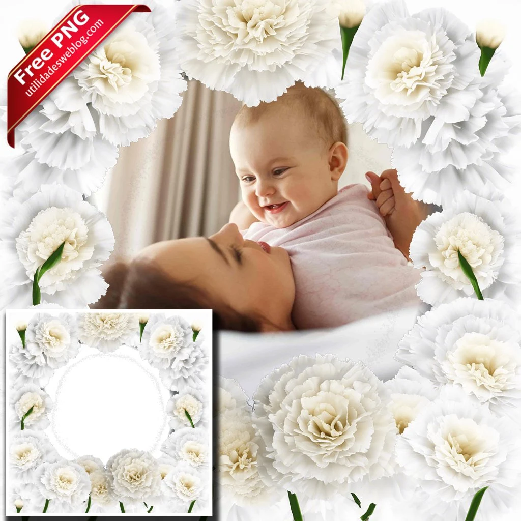 marco para fotos con flores de claveles blancos en png con fondo transparente para descargar gratis