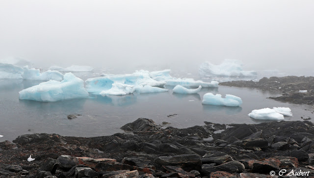 Savissivik, cimetière d'icebergs, météorite,Groenland