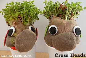 Cress heads craft