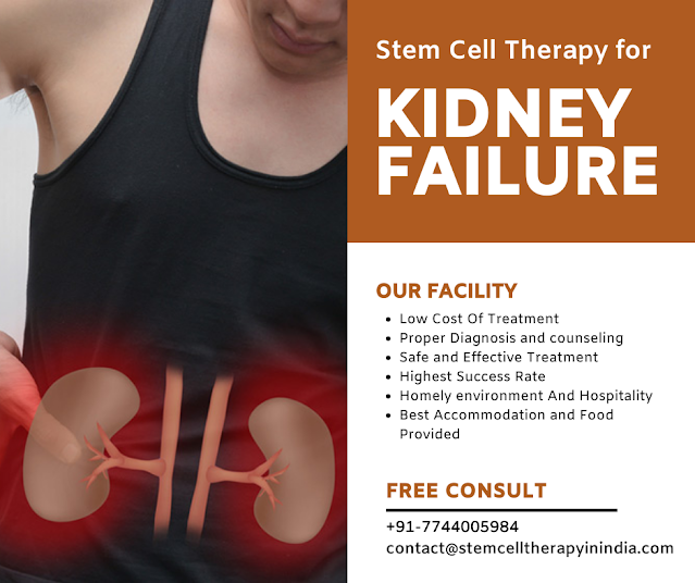 Stem Cell Therapy For Kidney Failure