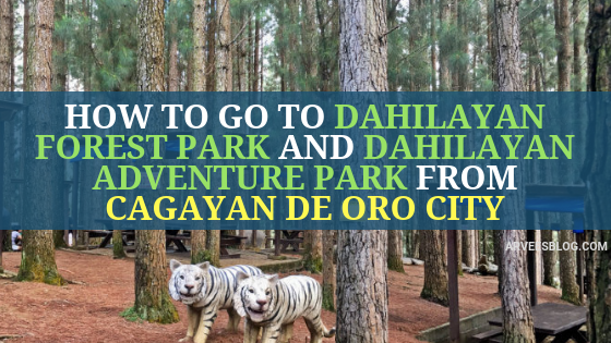 How to go to Dahilayan Forest Park and Dahilayan Adventure Park from Cagayan de Oro City