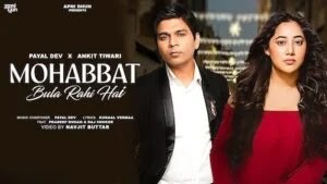 Mohabbat Bula Rahi Hai Lyrics - Payal Dev (2024)