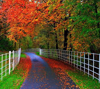 Beautiful Autumn HD Wallpaper Photos