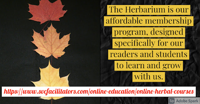 The Herbarium is our affordable membership program, designed specifically for our readers and students to learn and grow with us.