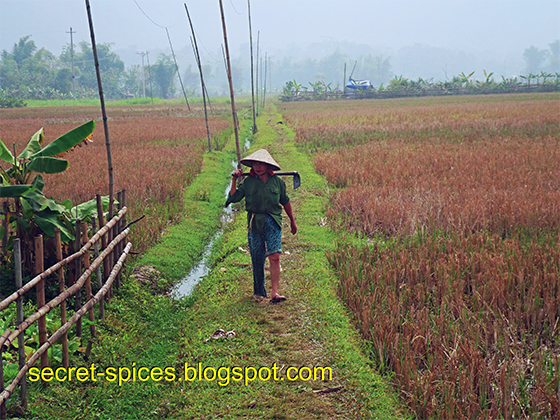 Mai Chau, Vietnam - My Idyllic Holiday