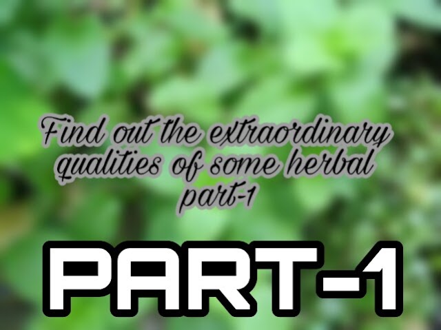 Find out the extraordinary qualities of some herbal part-1